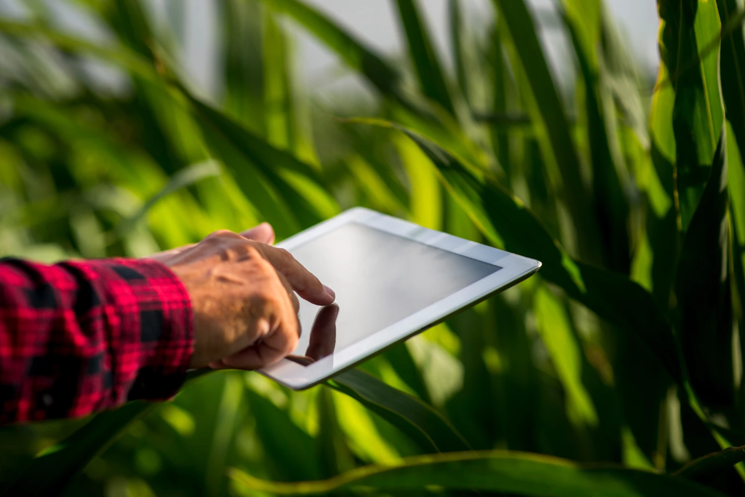 Conheça a agricultura 4.0, a revolução tecnológica no campo