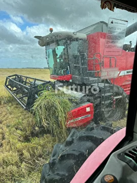 COLHEITADEIRA MASSEY FERGUSON 6690 ANO 2016